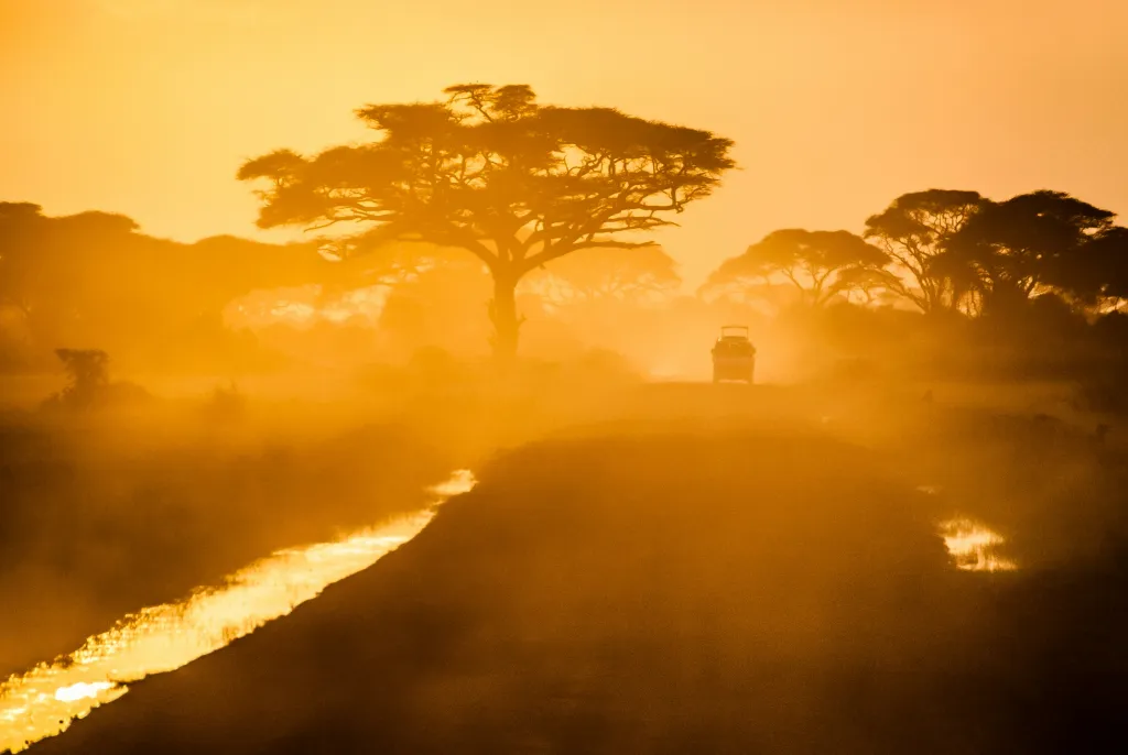 Africa - Region 1