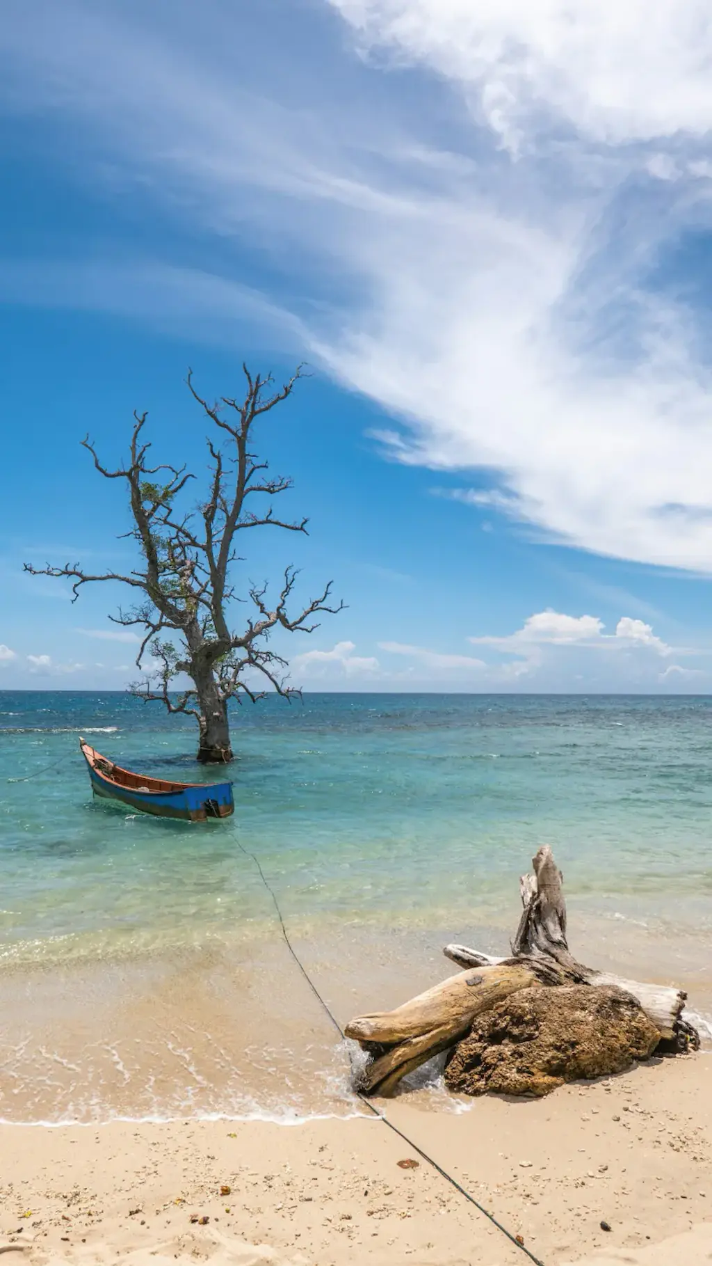 Anguilla cover image