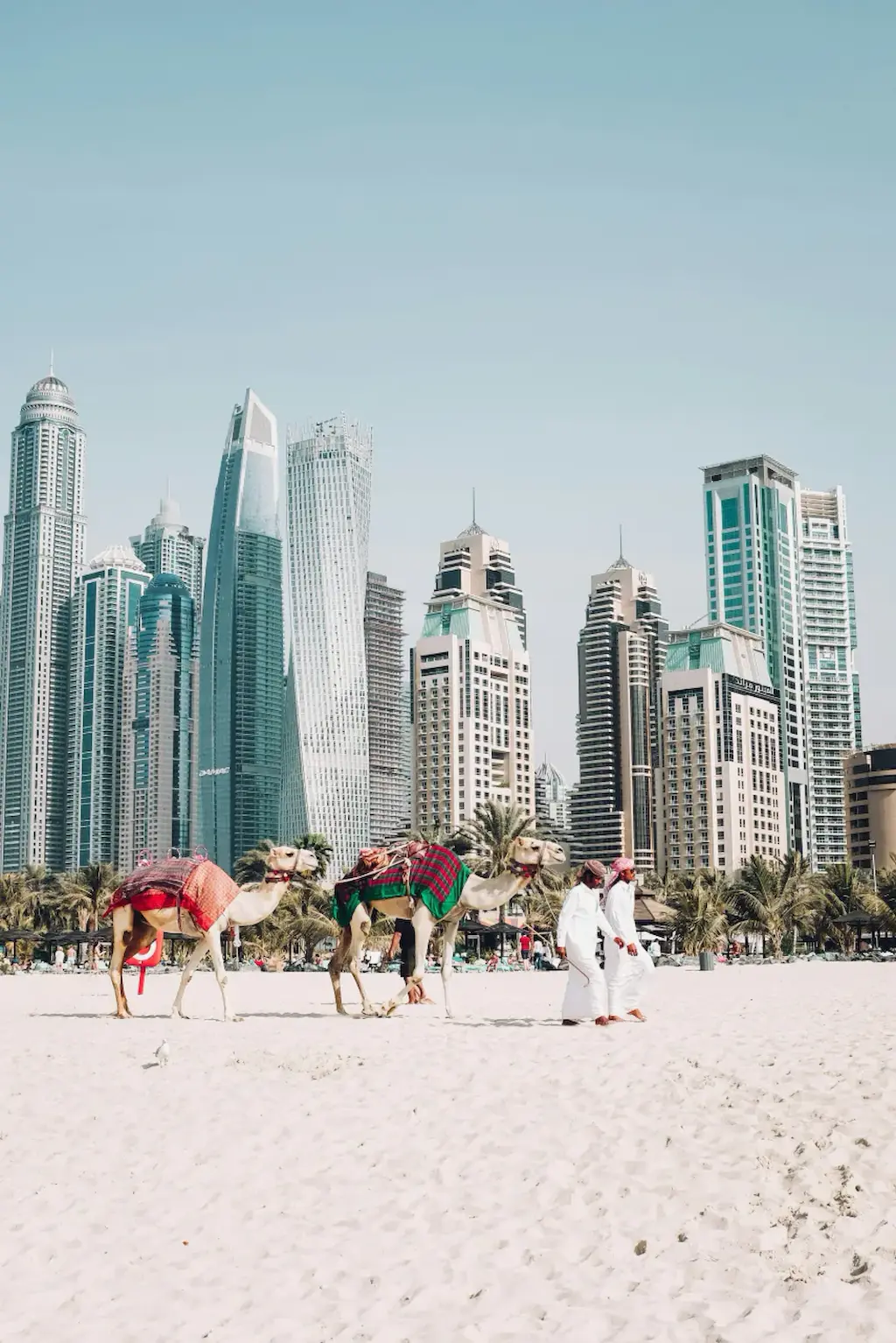 United Arab Emirates cover image