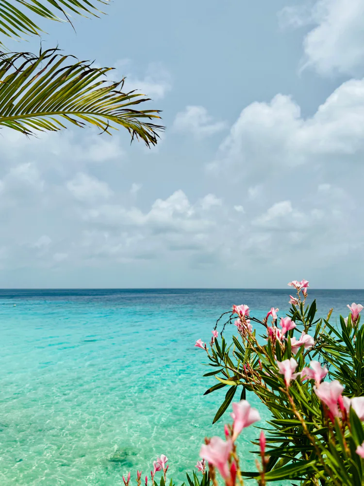 Bonaire, Sint Eustatius and Saba cover image