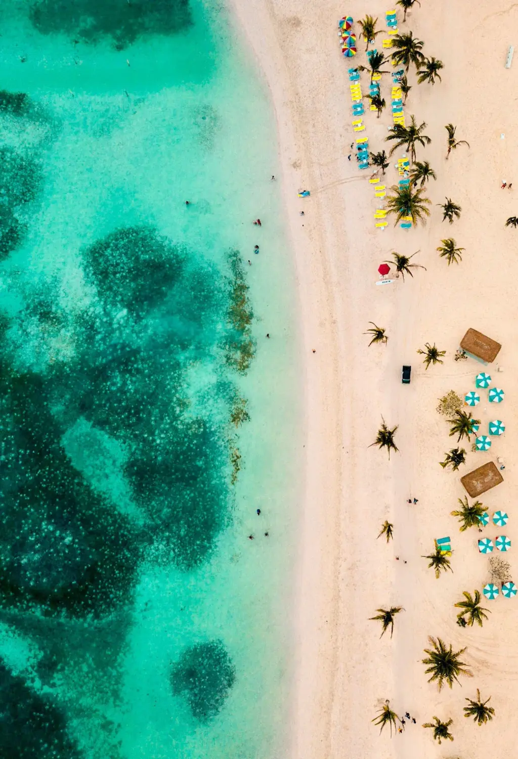 Bahamas cover image