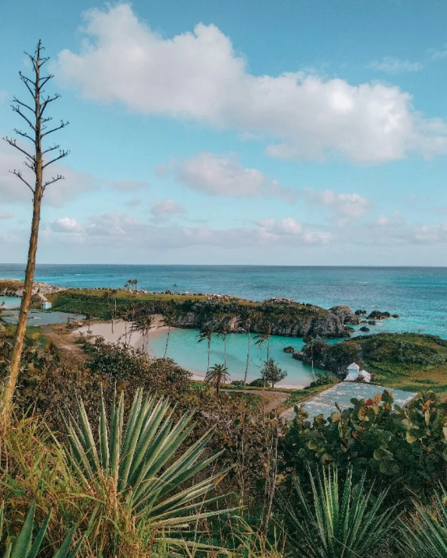 Bermuda cover image