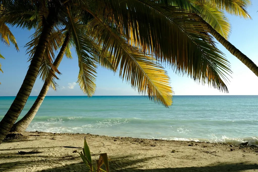 Caribbean