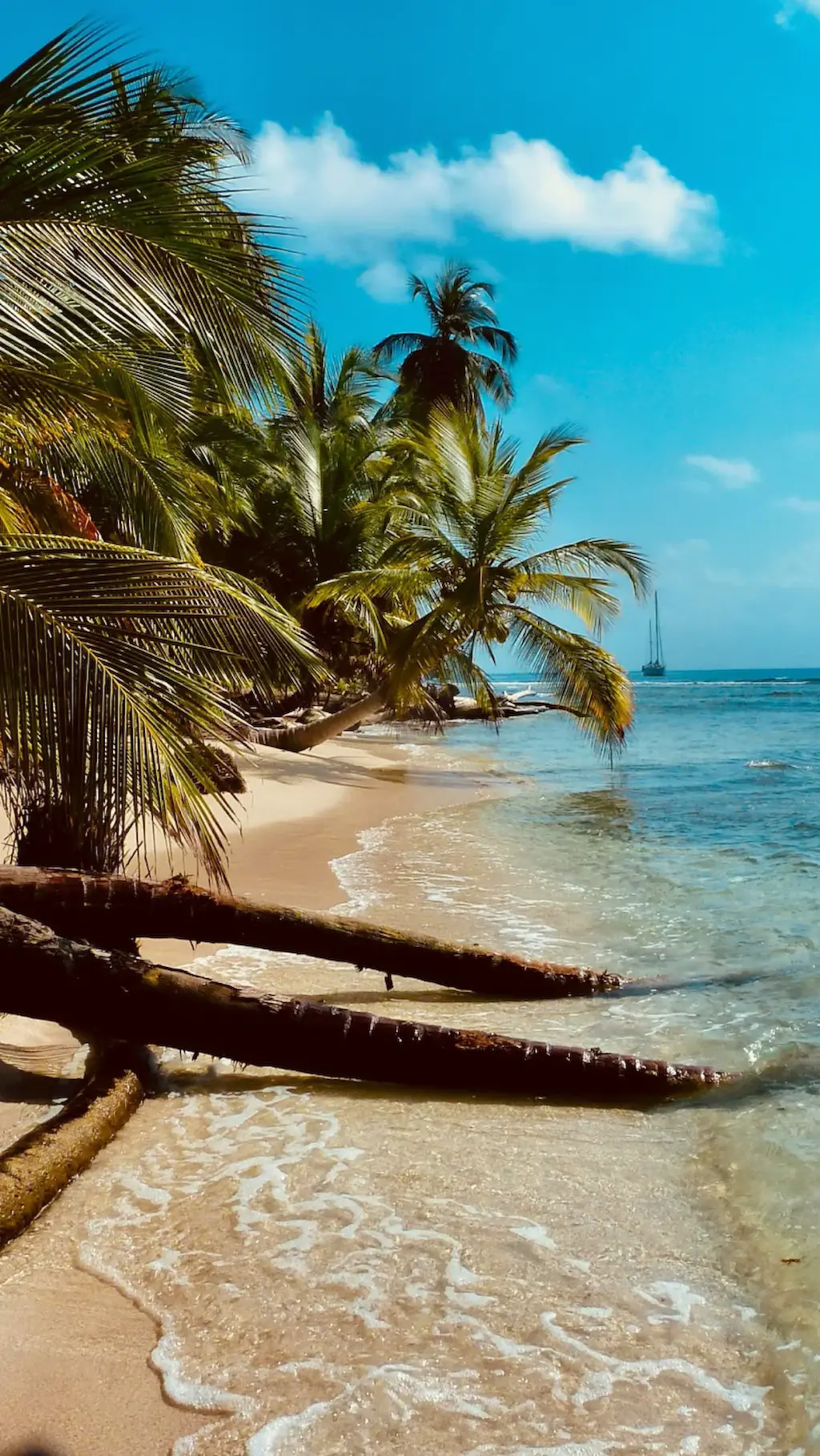 Cayman Islands cover image