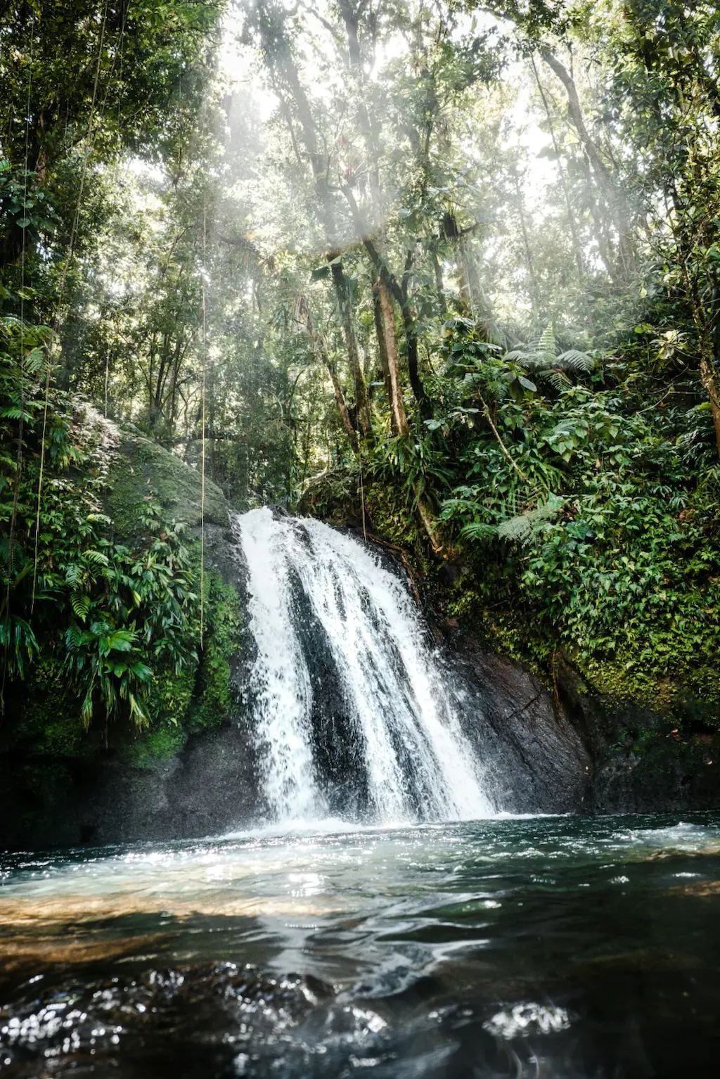 Guadeloupe cover image