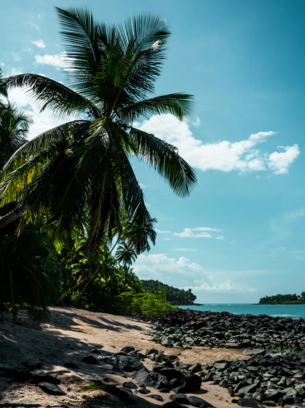 Guyana francese