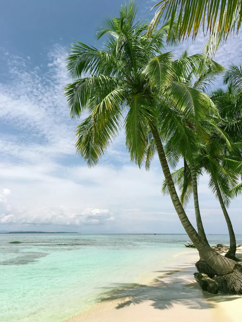 Jamaica cover image