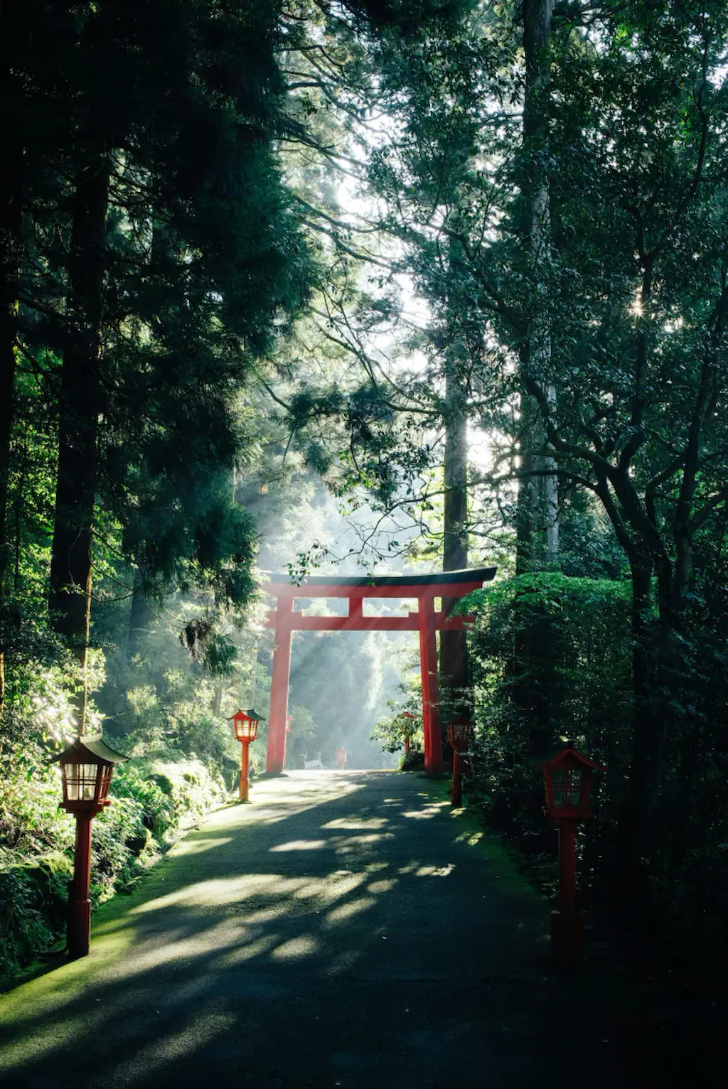 Japan cover image
