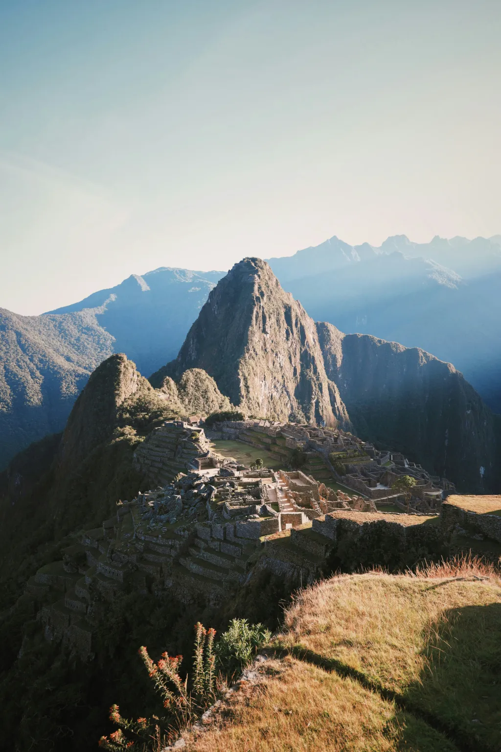 Latin America cover image