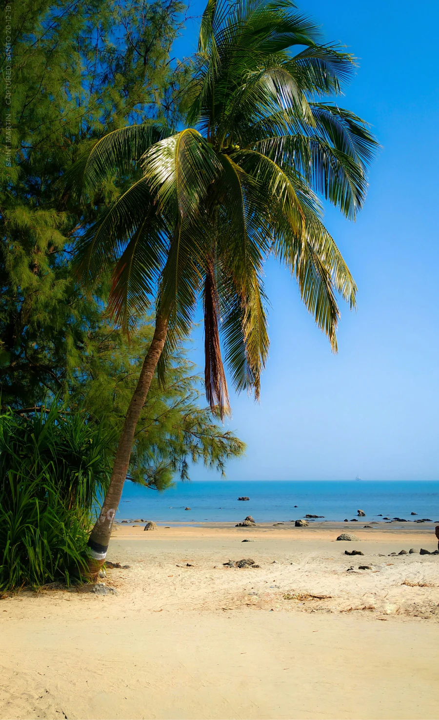 Saint Martin cover image