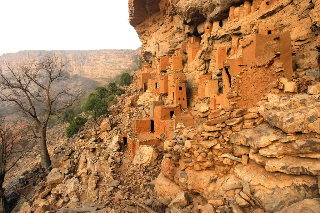 Mali cover image