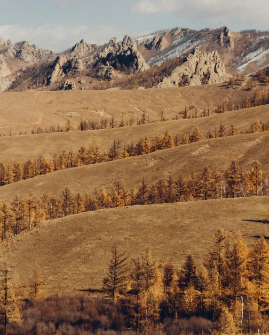 Mongolia cover image