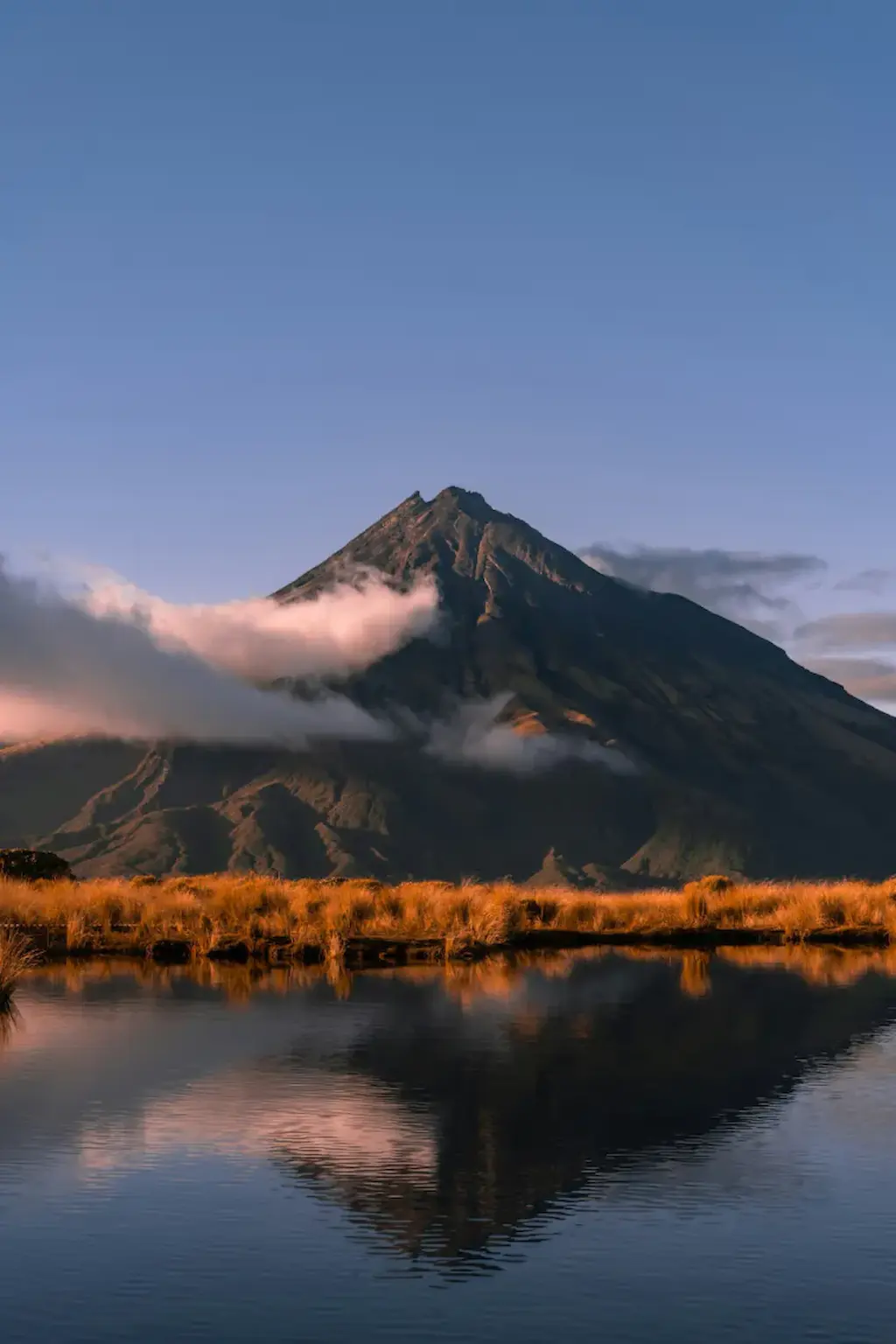 New Zealand cover image