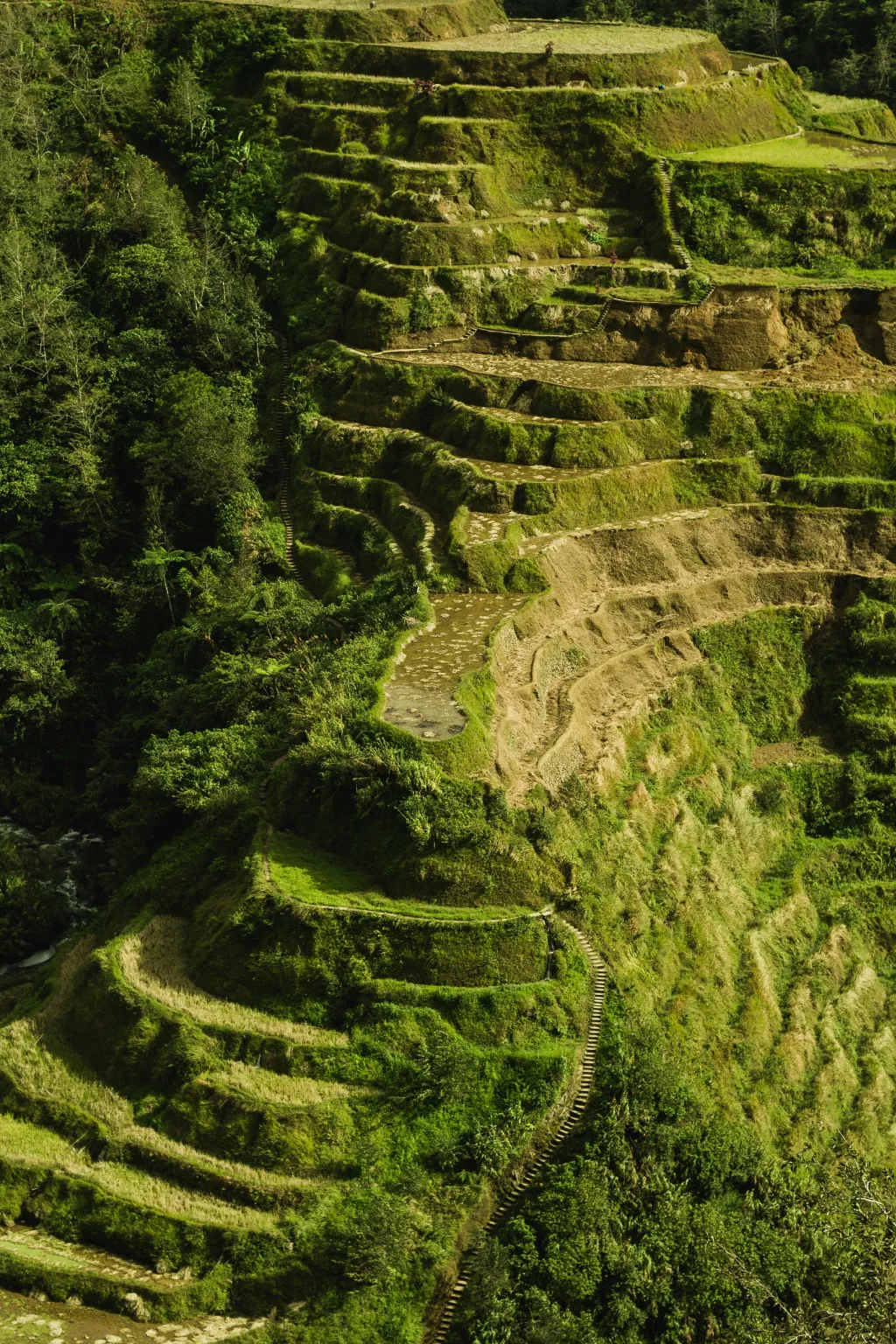 Philippines cover image