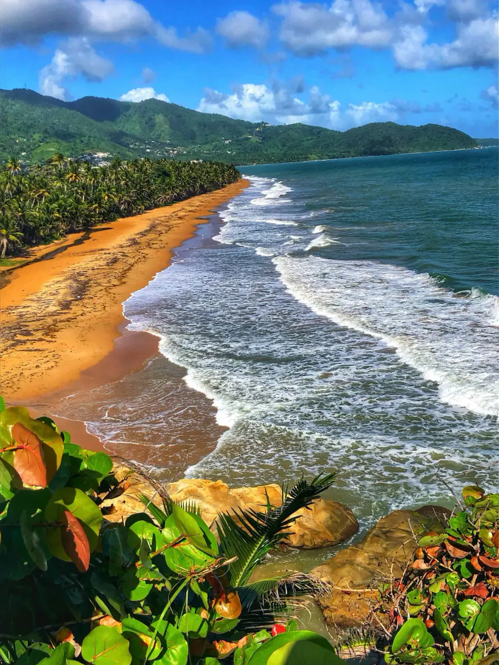 Puerto Rico cover image