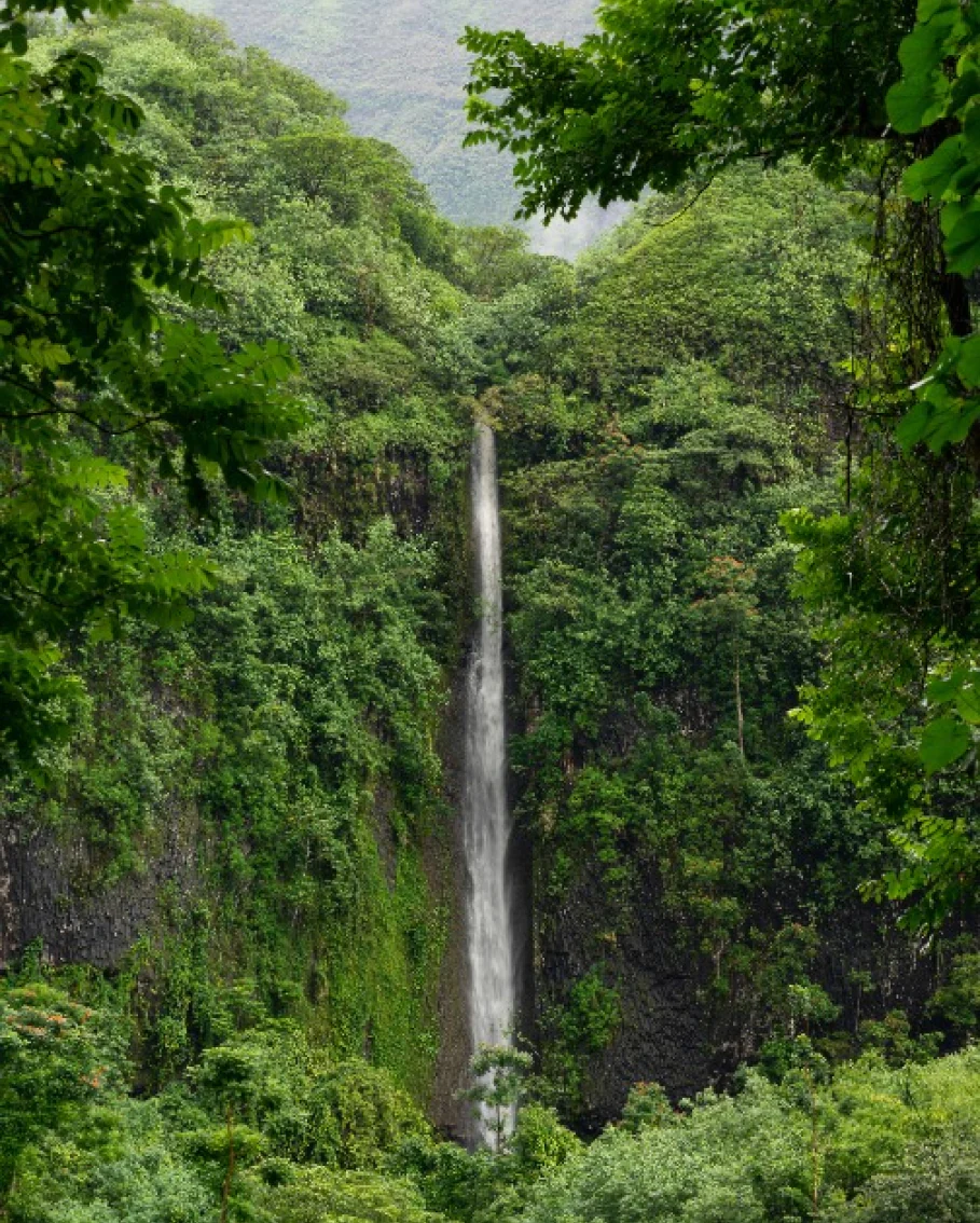 French Polynesia cover image