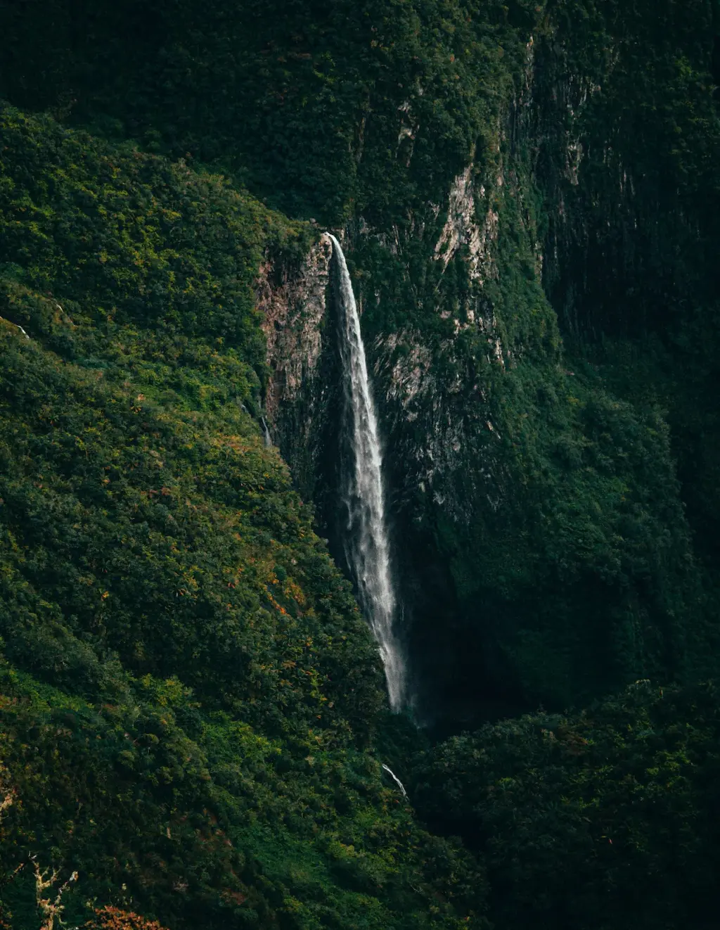 Réunion
