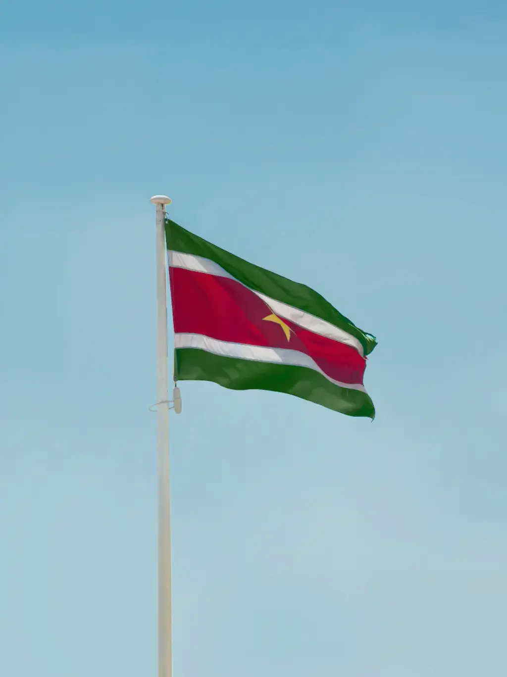 Suriname cover image