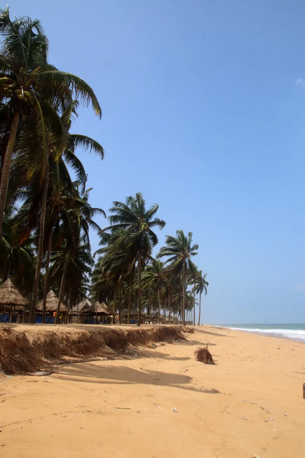Togo cover image