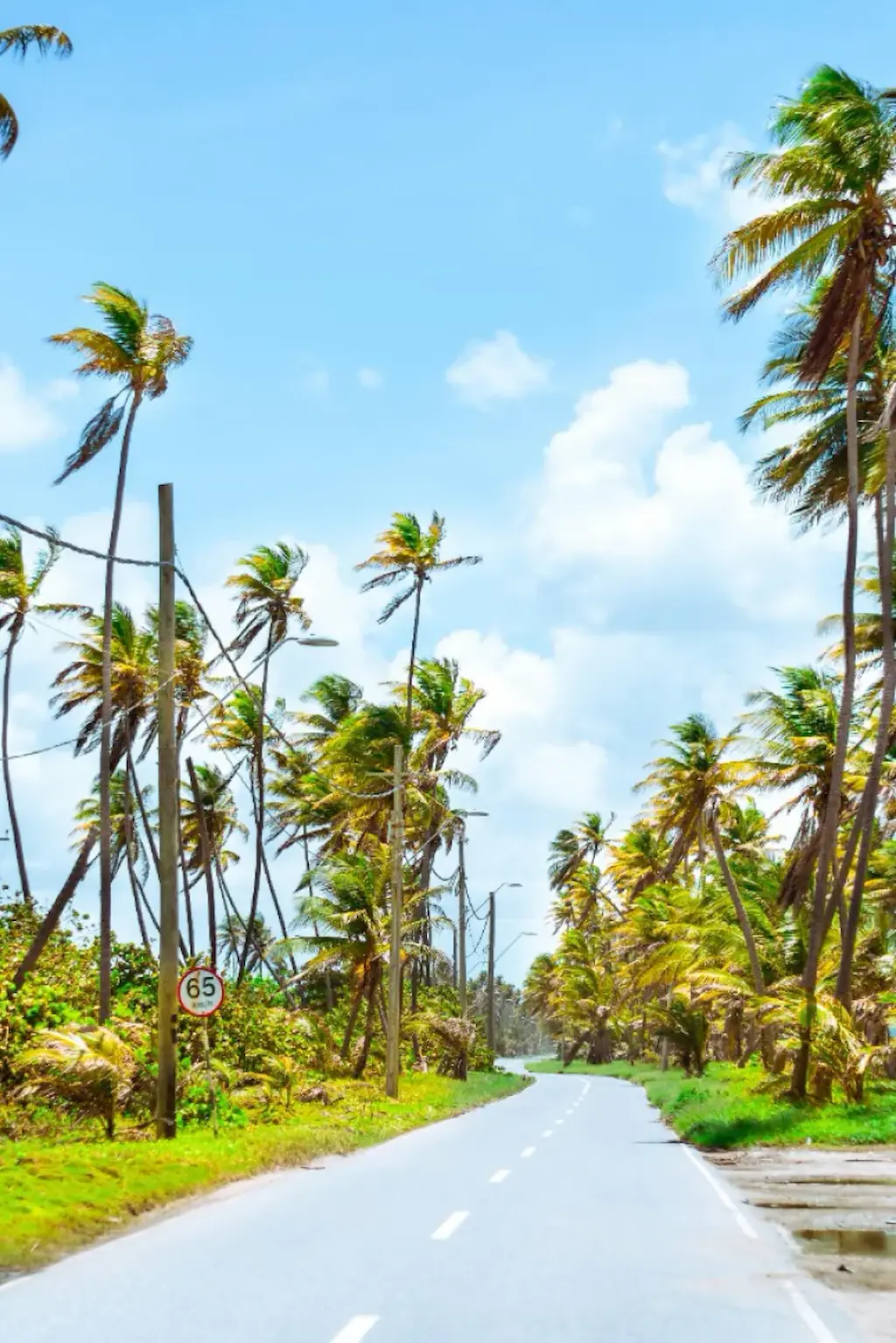Trinidad and Tobago cover image