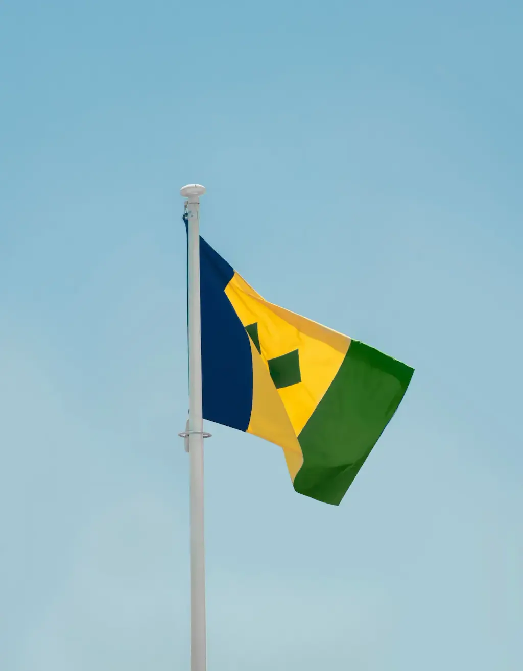 Saint Vincent and the Grenadines cover image
