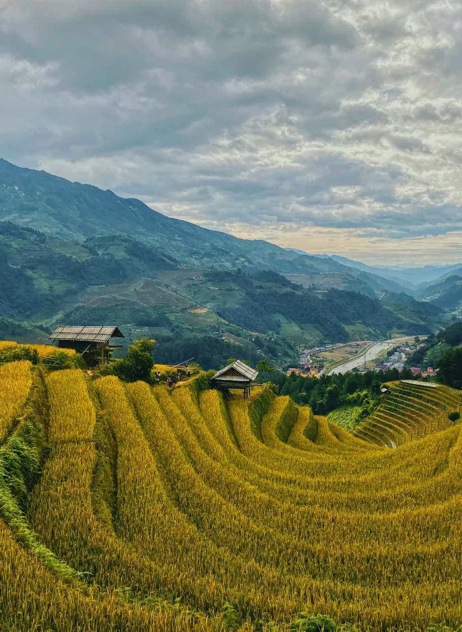 Vietnam