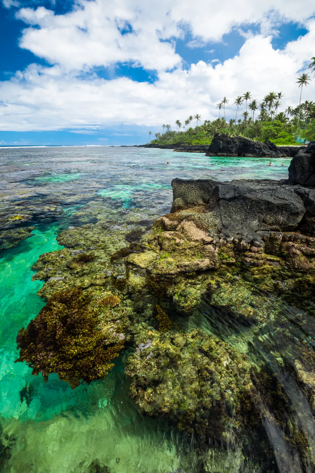 Samoa cover image
