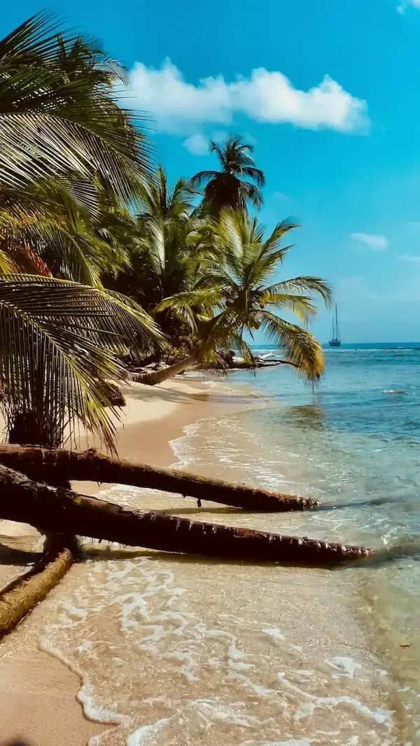 Isole Cayman