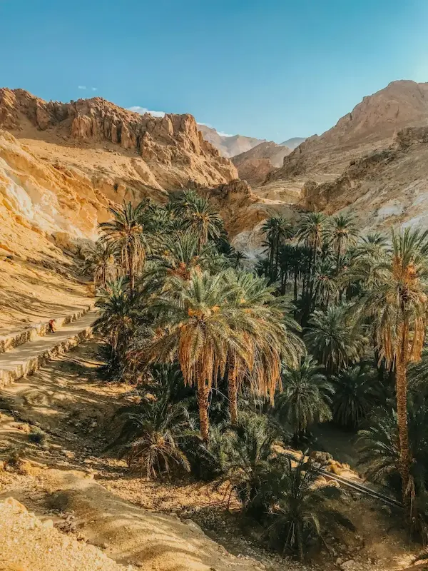 Tunisia